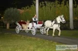 ORGANIZADORAS DE EVENTOS QUINCES Y BODAS FOTO Y VIDEO