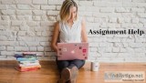 Best Business Development Assignment Service  Assignment Service