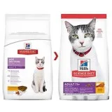 Buy Hills Science Diet Adult 11 Chicken Senior Dry Cat Food Onli