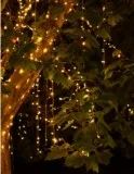 Outdoor Hire Fairy Lights for Wedding in Melbourne