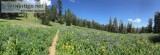 Mountain Biking Lake Tahoe For Adventure Lovers