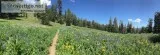 Mountain Biking Lake Tahoe For Adventure Lovers