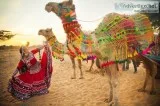 Rajasthan Offbeat Tour