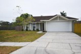Welcome to 1529 High Knoll Dr Brandon FL 33511