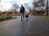 Off Leash Dog Training Portland  BalancedPackK9Traini ng