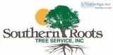 SOUTHERN ROOTS LANDSCAPE