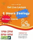 Live videos streaming for neet 2020 