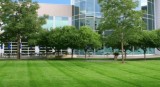 Landscape Design Services in California