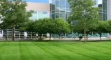 Landscape Design Services in California