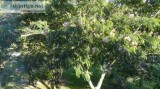 Relaxation sessions in Countryside Retreat
