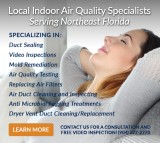 Professional Mold Remediation and Removal Services - Breatheclea