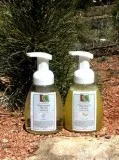 Foaming Body WashShampooHand Soap