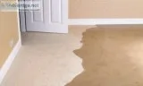 Best Carpet Flood Damage Removal