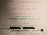 USCIS CERTIFIED DUTCH ON-LINE TRANSLATION SERVICES