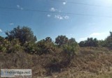 5 Lots for Sale in Punta Gorda FL