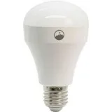 Foxampsummit Wifi Led Light Bulb Single