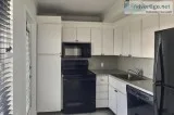 Beautiful apartment for rent