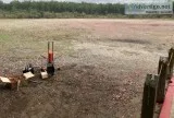 Looking for a place to skeet shoot