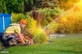 Pavels landscaping Houston