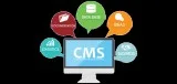 CMS IT Services