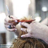 The Cut Salon