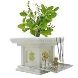 Planters Online