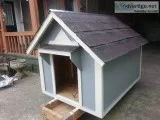 new dog houses