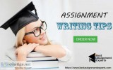 All Assignment help