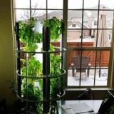 PASSING TIME WITH TOWER GARDEN - GARDENING IN SMALL SPACES