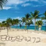 Travel AgencyTravel Agent