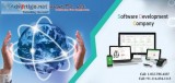 Affordable Software Development Services in Delhi