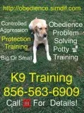 perfect k9 obedience dogggg