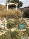 Domingue z Lawn Service