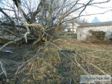 Residential Landscaping Services