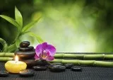 Awesome Body Sa Centers in Film Nagar Hyderabad