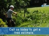 Looking for the residential tree trimming services Take a look h