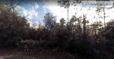 1.5 Acres for Sale in Georgetown FL