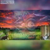 Robles lawn and pro service s