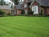 19.99 lawn mowing