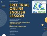 Online ESL Lessons (free trial)