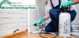 Bed Bugs Solution in Toronto