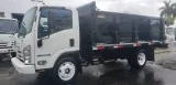 NEW 2019 Isuzu NPR HD GAS Steel Dump Reg. Cab