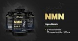 Nicotinamide Mononucleotide