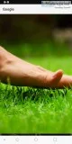 Wyatts Express Lawn Service