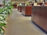 5 Stars - Commercial and Residential Cleaning Service in Ashland
