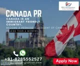 Hire Best Canada Immigration Experts