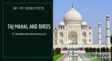 india bird watching tours