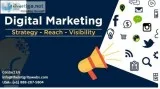 Digital Marketing Agency in Canada
