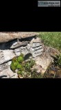 40 Acres of beautiful land