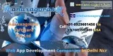 Top 10 Web App Development Companies In Delhi Ncr